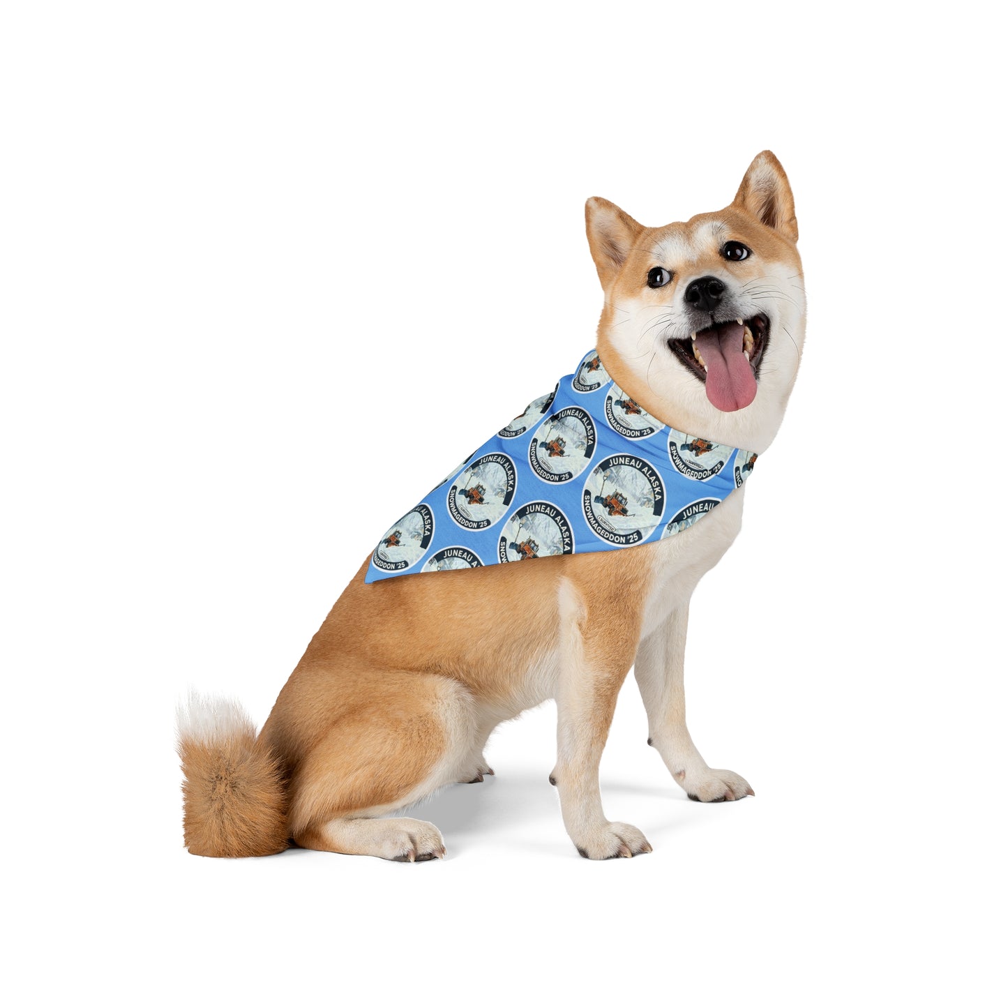 Boy Dogs & Cats Snowmageddon Bandana